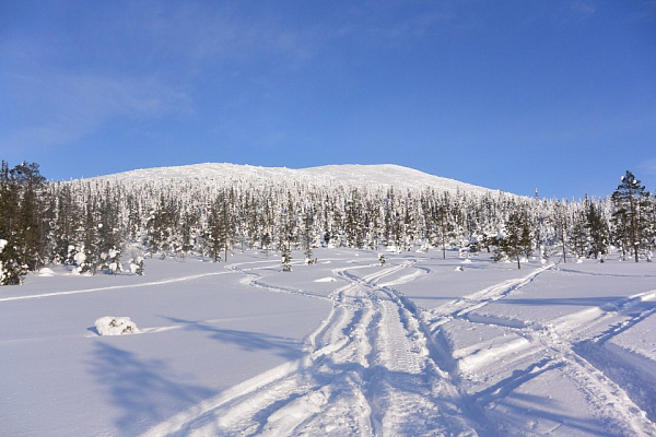 Катание на снегоходах в Пензе в подарок. Сервис Ultra Подарки
. Подарочный сертификат на катание на снегоходах в Пензе с друзьями. Закажите прокат снегоходов в подарок для мужчины по привлекательным ценам. Живописные маршруты для езды на снегоходах это отличная возможность активного отдыха. Сервис UltraPodarki.ru 8 800 505 95 30. катание на снегоходах, подарочный сертификат на катание на снегоходе, прокат снегоходов, прокат снегоходов Пенза, катание на снегоходах Пенза, езда на снегоходе