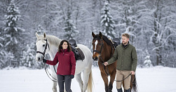 Конная прогулка 