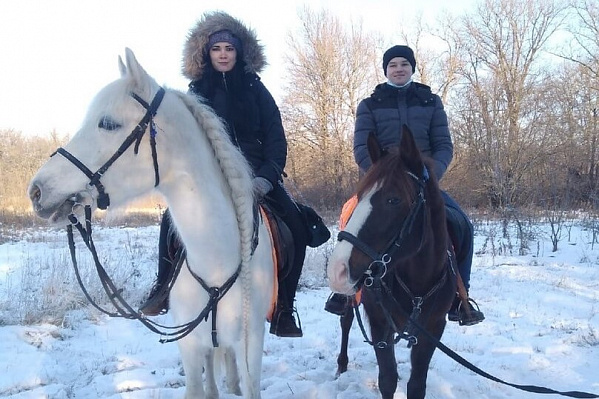 Конная прогулка для двоих в Пензе. Подарочные сертификаты Ultra Подарки. Купить оригинальный подарок или подарочный сертификат на Конная прогулка для двоих в Пензе. Сервис UltraPodarki.ru 8-800-505-9530. Катание на лошадях, Прогулка на лошади, Прогулка на лошадях для двоих, Конная прогулка для двоих, конный клуб, Конный клуб Гиппа, конная прогулка, конная прогулка в Пензе